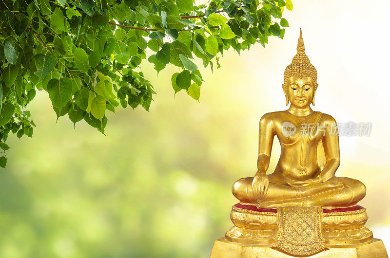 大Asanha Visakha Puja Day，佛像，菩提叶双曝光和len喇叭，柔和的形象和柔和的焦点风格